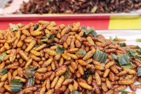 Insectos fritos es delicioso en el mercado . —  Fotos de Stock