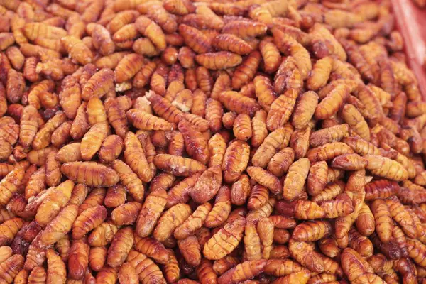 Fried insects is delicious in the market. — Stock Photo, Image