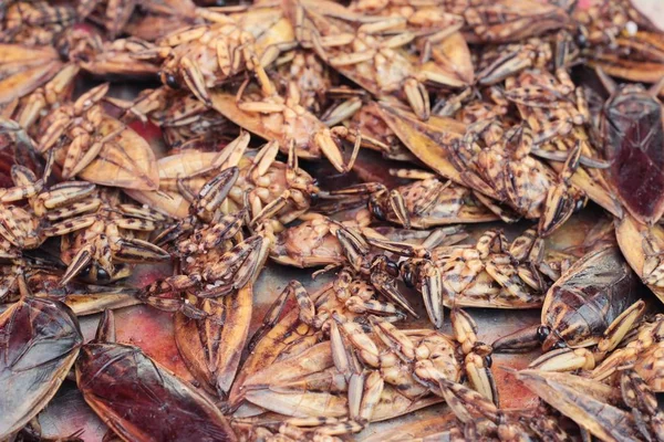 Insectes frits est délicieux sur le marché . — Photo