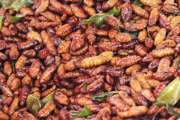 Fried insects is delicious in the market. — Stock Photo, Image