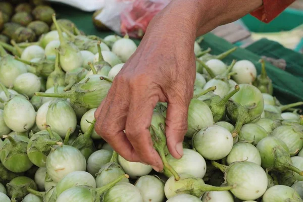 Aubergines fraîches sur le marché . — Photo