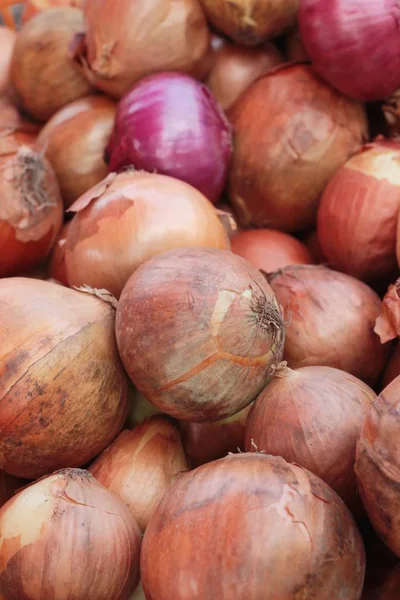 Cebolla fresca en el mercado . — Foto de Stock