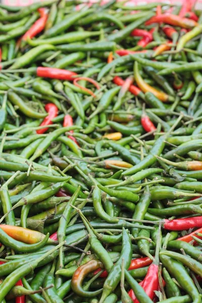 Fresh chilli in the market. — Stock Photo, Image