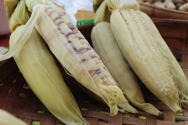 El forúnculo de maíz es delicioso en el mercado . —  Fotos de Stock
