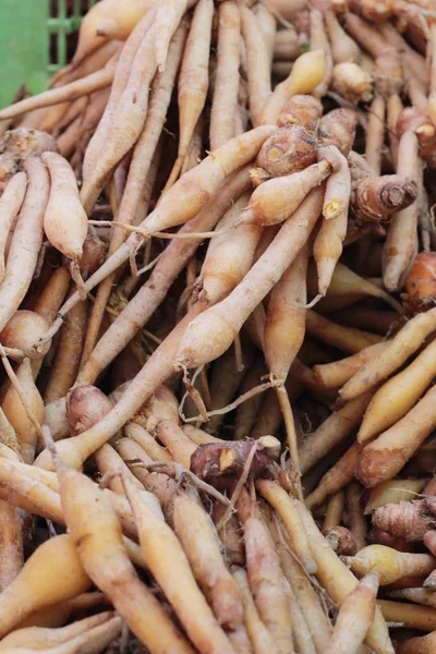 Fingerwurzel und Ingwer auf dem Markt. — Stockfoto