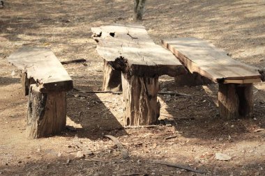 Bahçe vintage tarzı ahşap sandalye.