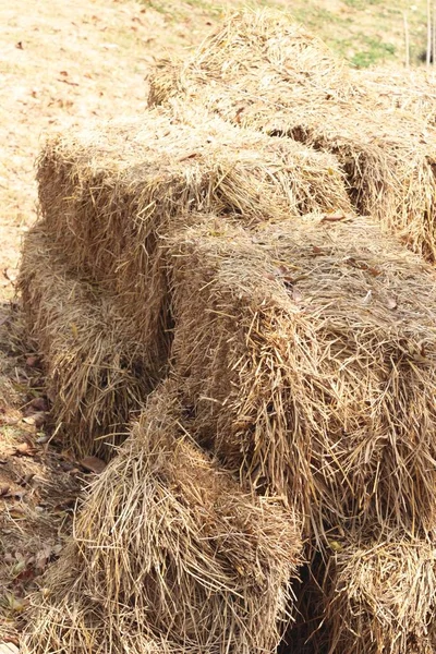 Stro en hooi van de oude op de boerderij — Stockfoto