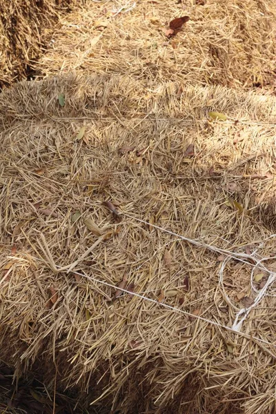 Straw and old hay at the farm — Stock Photo, Image