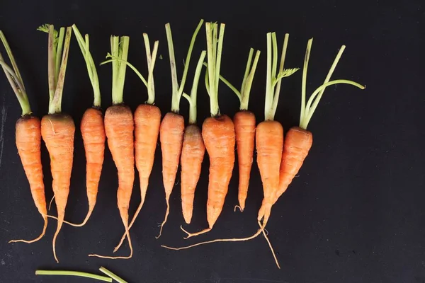 Frische Bio-Karotten auf schwarzem Hintergrund — Stockfoto