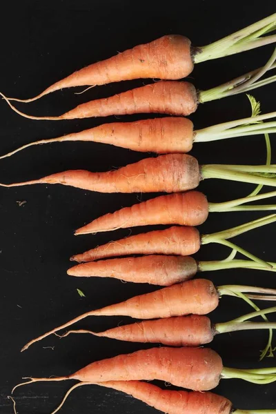 Φρέσκα βιολογικά καρότα σε μαύρο φόντο — Φωτογραφία Αρχείου