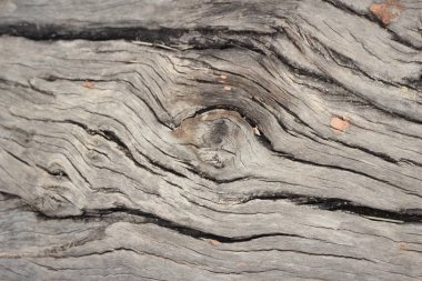 Eski ahşap güzellik duvar arka plan ve doku