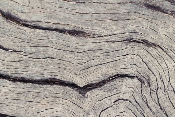 Vieux mur de beauté en bois fond et texture — Photo