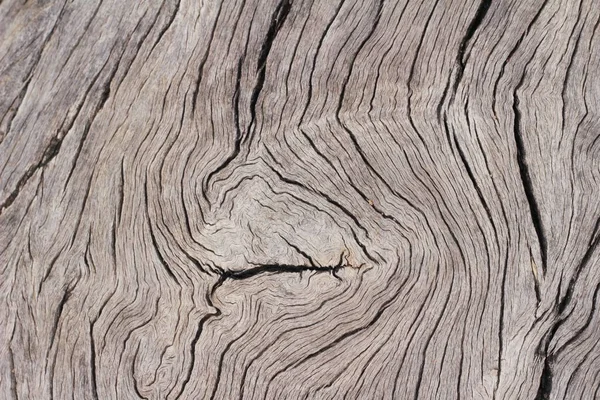 Vieux mur de beauté en bois fond et texture — Photo