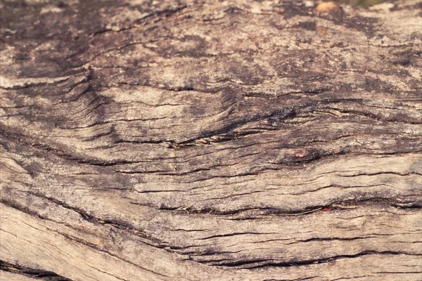 Antiguo fondo de pared de belleza de madera y textura —  Fotos de Stock