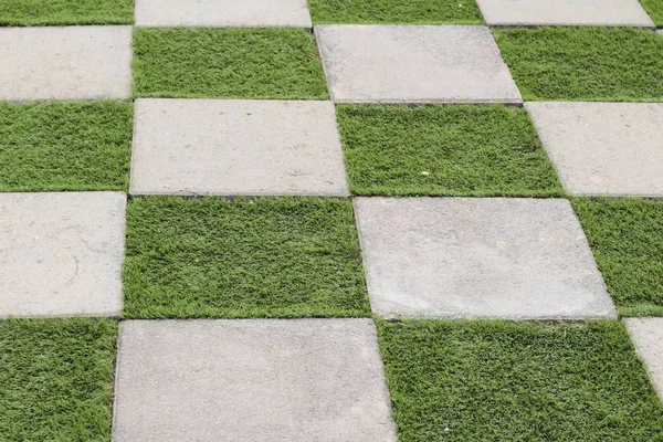 Garden walk way with stone in nature — Stock Photo, Image