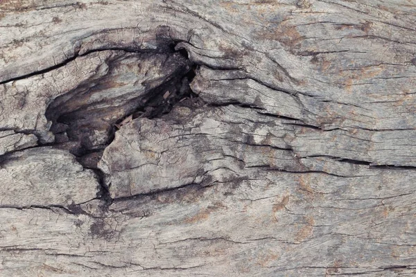 Vieux mur de beauté en bois fond et texture — Photo