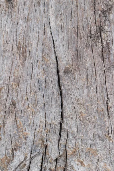 Antiguo fondo de pared de belleza de madera y textura — Foto de Stock