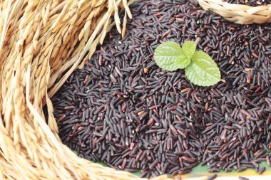 Siyah pirinç yasemin veya organik riceberry pirinç