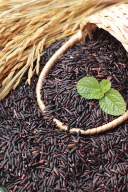 Siyah pirinç yasemin veya organik riceberry pirinç