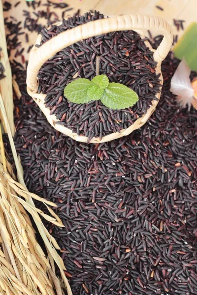 Black jasmine rice or organic riceberry rice