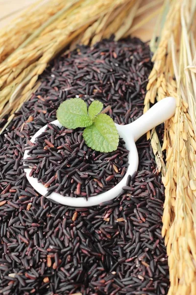 Zwarte jasmijn rijst of organische riceberry rijst — Stockfoto