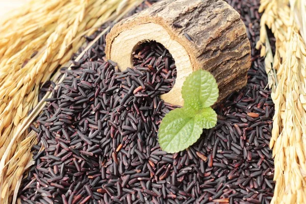 Zwarte jasmijn rijst of organische riceberry rijst — Stockfoto