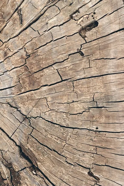 Vanha puinen kauneus seinä tausta ja rakenne — kuvapankkivalokuva