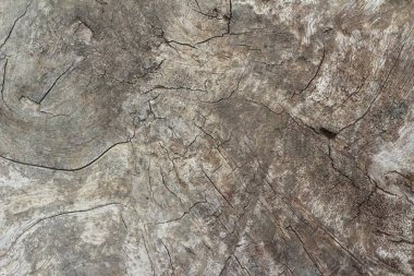 Eski ahşap güzellik duvar arka plan ve doku