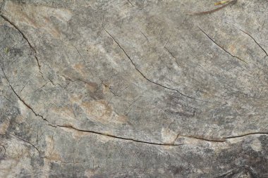 Eski ahşap güzellik duvar arka plan ve doku