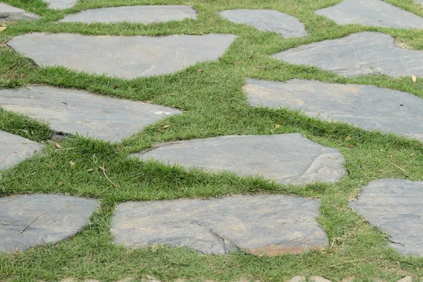 Gartenweg mit Stein in der Natur — Stockfoto