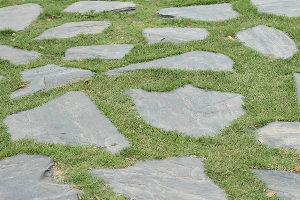 Garden walk way with stone in nature — Stock Photo, Image