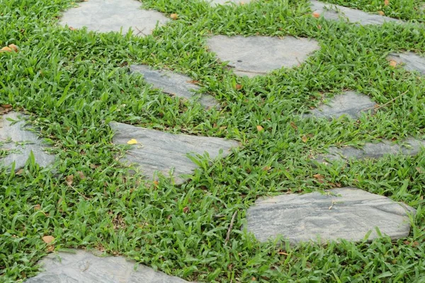 Trädgård promenad sätt med sten i naturen — Stockfoto