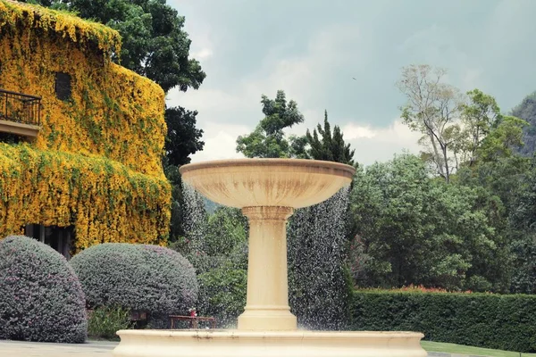 Fontein in de tuin met de schoonheid natuur — Stockfoto