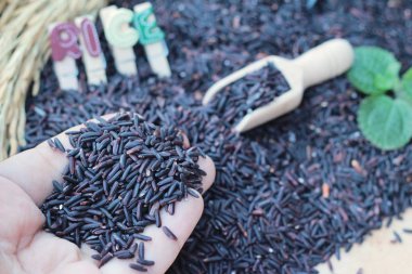 Siyah pirinç yasemin veya organik riceberry pirinç