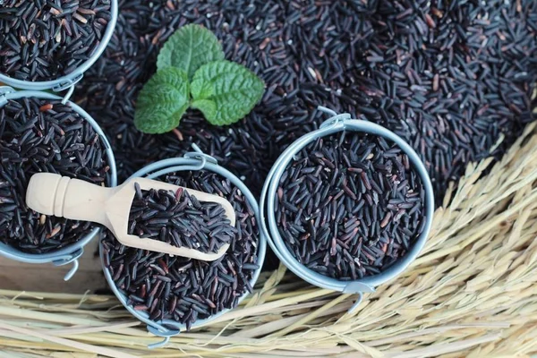 Zwarte jasmijn rijst of organische riceberry rijst — Stockfoto