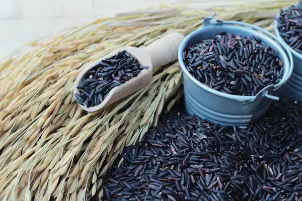 Zwarte jasmijn rijst of organische riceberry rijst — Stockfoto