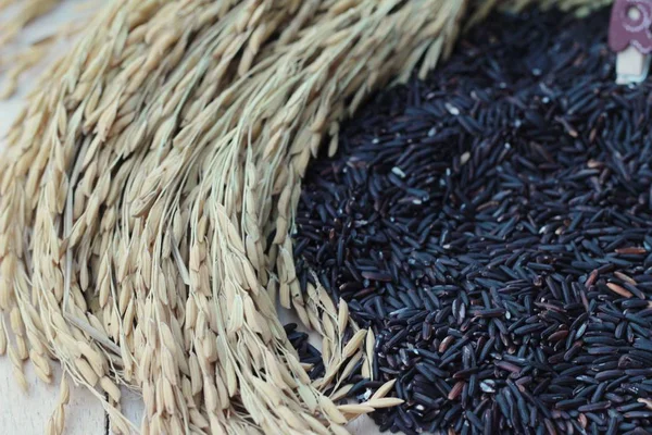 Černý jasmínová rýže nebo rýžové bio riceberry — Stock fotografie