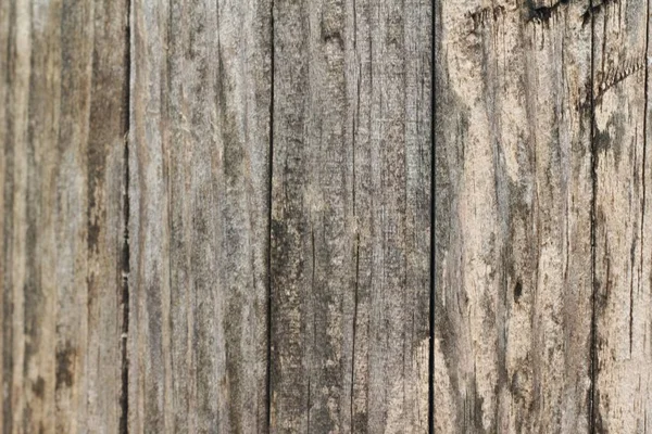 Παλιά ξύλινα ομορφιά τοίχου υπόβαθρο και υφή — Φωτογραφία Αρχείου