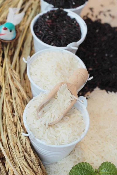 茉莉花米和有机 riceberry 水稻 — 图库照片