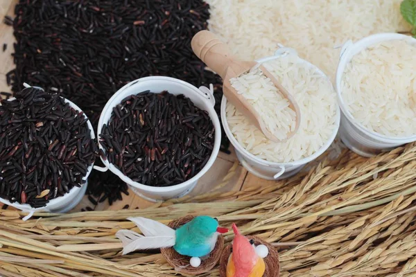 Yasemin pirinç ve organik riceberry pirinç — Stok fotoğraf