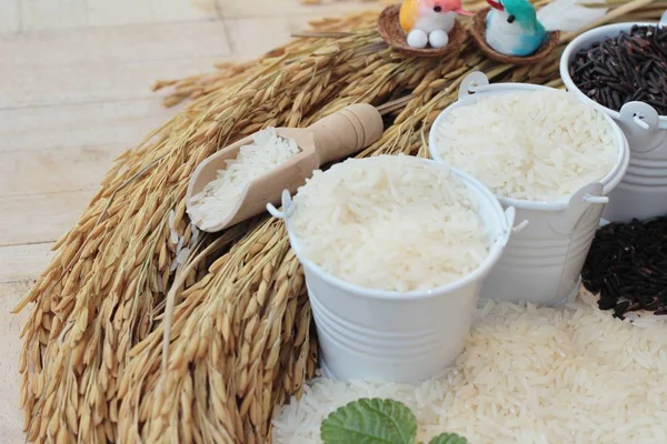 Arroz jazmín y arroz con arándanos orgánicos — Foto de Stock