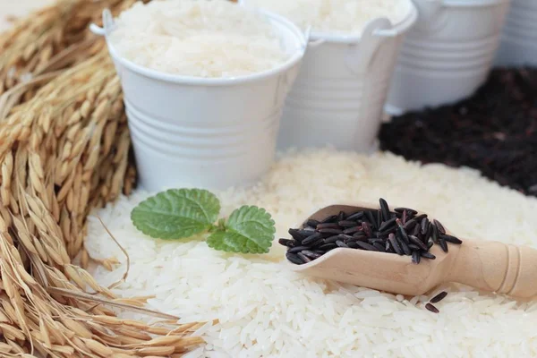 Riz jasmin et riz riceberry bio — Photo