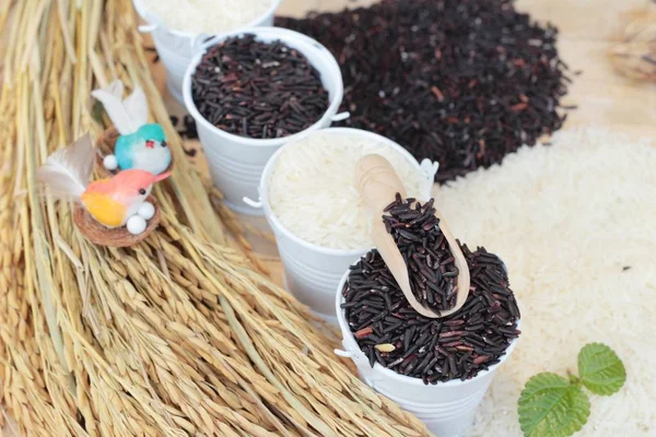 ジャスミン米と有機 riceberry ライス — ストック写真