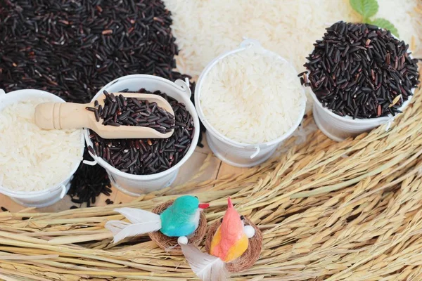 Yasemin pirinç ve organik riceberry pirinç — Stok fotoğraf