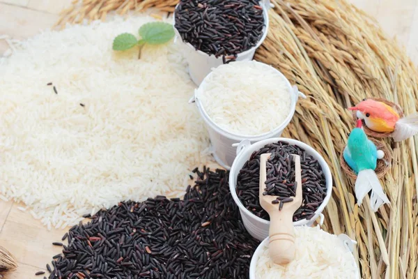 茉莉花米和有机 riceberry 水稻 — 图库照片