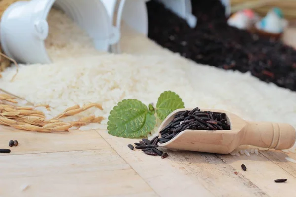 ジャスミン米と有機 riceberry ライス — ストック写真