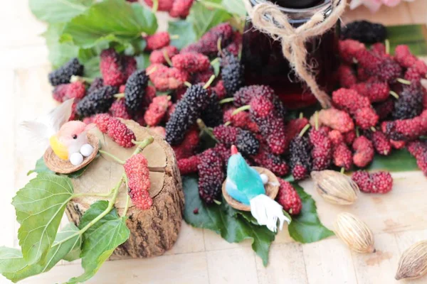 Mulberry SAP en verse mulberry is lekker — Stockfoto