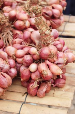 arpacık içinde belgili tanımlık çarşı