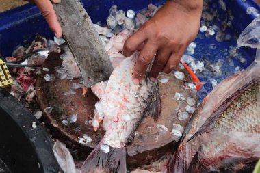 Taze balık piyasada yapma