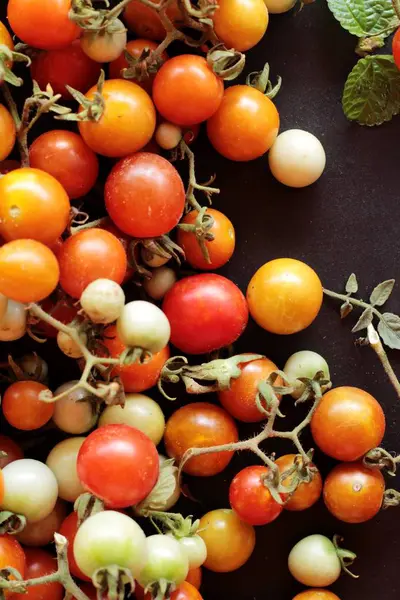 Fresh tomatoes for cooking on black background — Stock Photo, Image